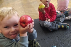 swiatowy_dzien_jablka-13